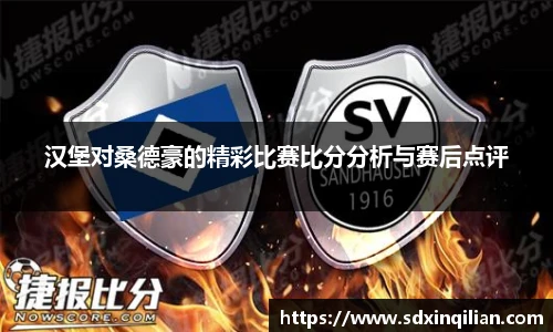 汉堡对桑德豪的精彩比赛比分分析与赛后点评