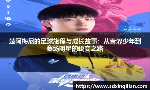 bsports官网