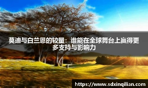 莫迪与白兰恩的较量：谁能在全球舞台上赢得更多支持与影响力